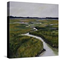 Marshes I-Diantha York-ripley-Stretched Canvas