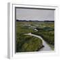 Marshes I-Diantha York-ripley-Framed Giclee Print