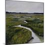 Marshes I-Diantha York-ripley-Mounted Giclee Print