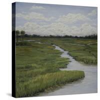 Marshes II-Diantha York-ripley-Stretched Canvas