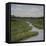 Marshes II-Diantha York-ripley-Framed Stretched Canvas