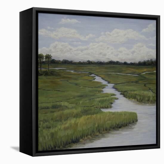 Marshes II-Diantha York-ripley-Framed Stretched Canvas