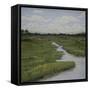 Marshes II-Diantha York-ripley-Framed Stretched Canvas