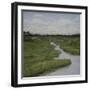 Marshes II-Diantha York-ripley-Framed Giclee Print