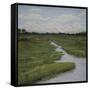 Marshes II-Diantha York-ripley-Framed Stretched Canvas