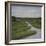 Marshes II-Diantha York-ripley-Framed Giclee Print