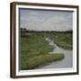 Marshes II-Diantha York-ripley-Framed Giclee Print