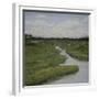 Marshes II-Diantha York-ripley-Framed Giclee Print