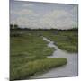 Marshes II-Diantha York-ripley-Mounted Giclee Print