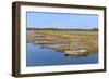 Marshes in the Bay of Arcachon-Christian Musat-Framed Photographic Print