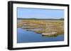 Marshes in the Bay of Arcachon-Christian Musat-Framed Photographic Print