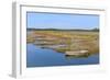 Marshes in the Bay of Arcachon-Christian Musat-Framed Photographic Print