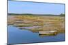 Marshes in the Bay of Arcachon-Christian Musat-Mounted Photographic Print