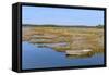 Marshes in the Bay of Arcachon-Christian Musat-Framed Stretched Canvas