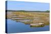 Marshes in the Bay of Arcachon-Christian Musat-Stretched Canvas