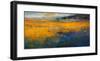 Marshes-Patrick Dennis-Framed Art Print