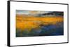Marshes-Patrick Dennis-Framed Stretched Canvas