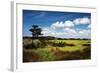 Marshland 1-Alan Hausenflock-Framed Photographic Print