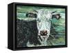 Marshland Cow I-Carolee Vitaletti-Framed Stretched Canvas