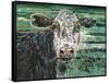 Marshland Cow II-Carolee Vitaletti-Framed Stretched Canvas