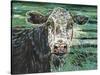 Marshland Cow II-Carolee Vitaletti-Stretched Canvas
