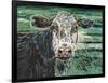 Marshland Cow II-Carolee Vitaletti-Framed Art Print