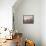 Marshland Hues I-Steve Hunziker-Framed Stretched Canvas displayed on a wall