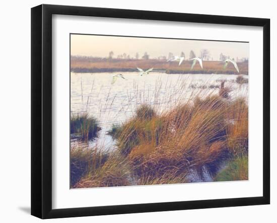 Marshland Hues I-Steve Hunziker-Framed Art Print