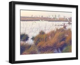 Marshland Hues I-Steve Hunziker-Framed Art Print