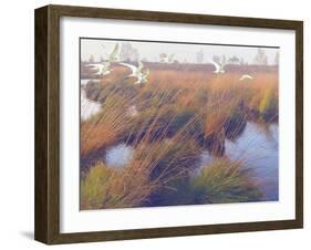 Marshland Hues II-Steve Hunziker-Framed Art Print