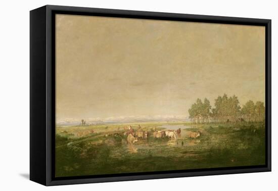 Marshland in Les Landes, C.1853-Pierre Etienne Theodore Rousseau-Framed Stretched Canvas