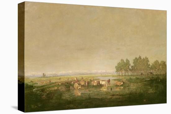 Marshland in Les Landes, C.1853-Pierre Etienne Theodore Rousseau-Stretched Canvas