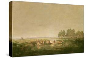 Marshland in Les Landes, C.1853-Pierre Etienne Theodore Rousseau-Stretched Canvas