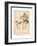 Marshland Mushrooms-Carol Robinson-Framed Art Print