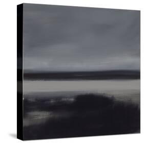 Marshland-Beth Wintgens-Stretched Canvas