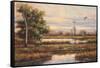 Marshland-Hannah Paulsen-Framed Stretched Canvas