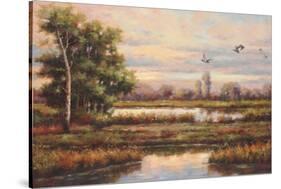 Marshland-Hannah Paulsen-Stretched Canvas