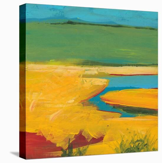 Marshland-Jan Weiss-Stretched Canvas