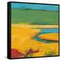 Marshland-Jan Weiss-Framed Stretched Canvas