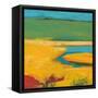 Marshland-Jan Weiss-Framed Stretched Canvas