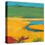 Marshland-Jan Weiss-Stretched Canvas