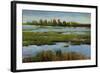 Marshland-Tim O'toole-Framed Giclee Print