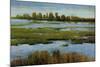 Marshland-Tim O'toole-Mounted Giclee Print