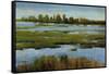 Marshland-Tim O'toole-Framed Stretched Canvas