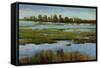 Marshland-Tim O'toole-Framed Stretched Canvas