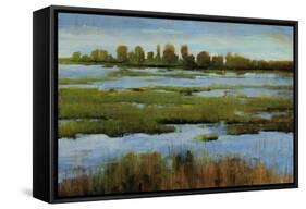 Marshland-Tim O'toole-Framed Stretched Canvas