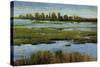 Marshland-Tim O'toole-Stretched Canvas