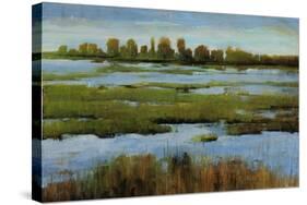 Marshland-Tim O'toole-Stretched Canvas