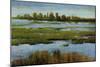 Marshland-Tim O'toole-Mounted Giclee Print