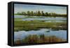 Marshland-Tim O'toole-Framed Stretched Canvas